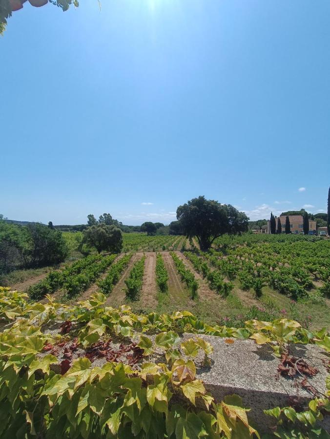 Camp De Base Dei Marres Hotel Ramatuelle Bagian luar foto